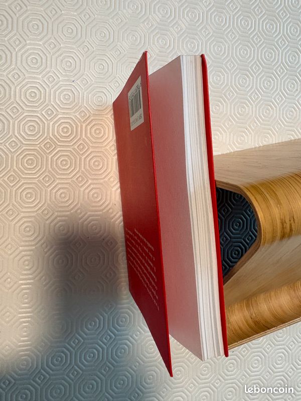 Hugo et le Mont Blanc - Editions Guérin - Colette Cosnier (image 6)