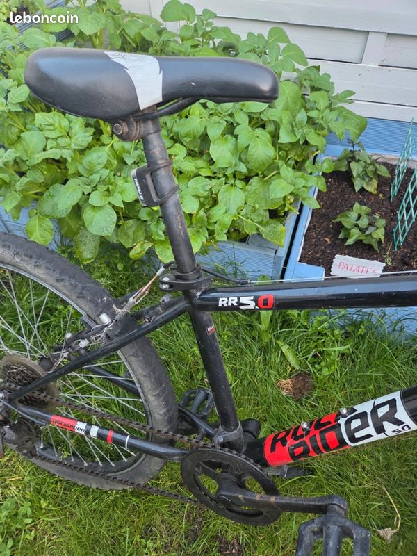 Velo rock rider 5.0 (image 10)