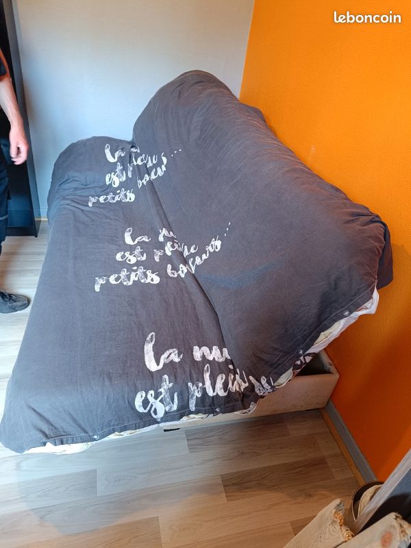 Canapé lit (image 3)