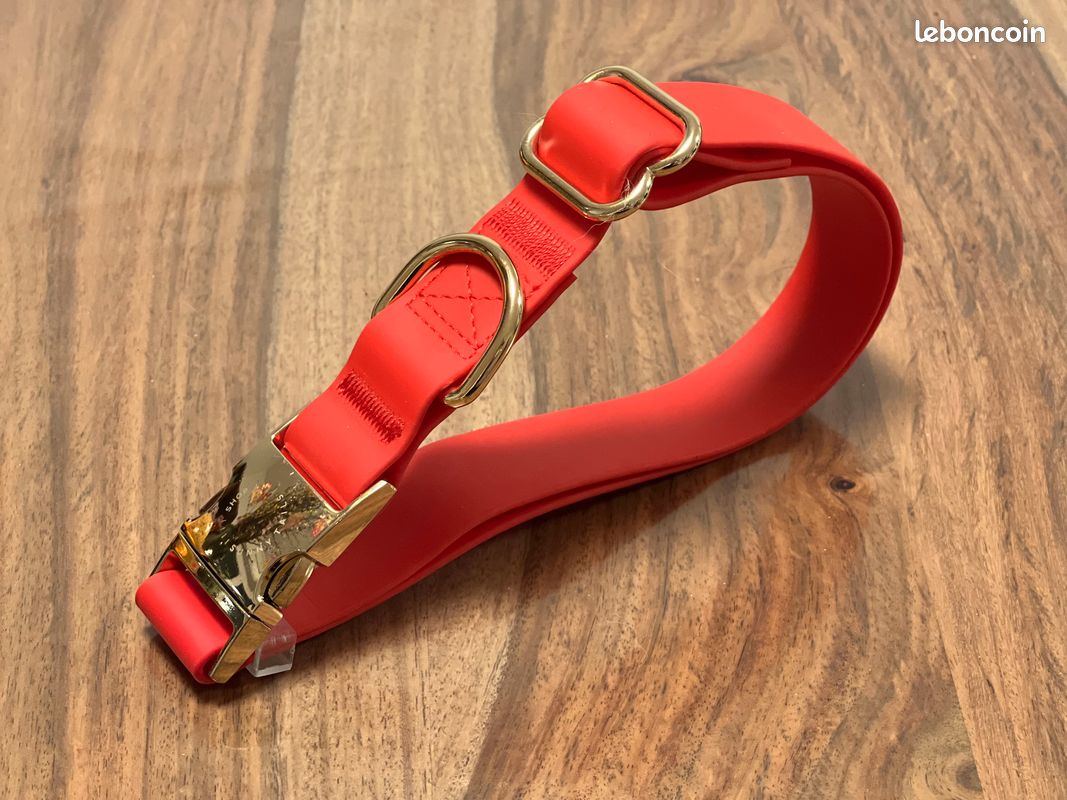 Collier Waterproof pour Chien Cloud Rouge Cherry - Shop Sunny Tails (image 2)
