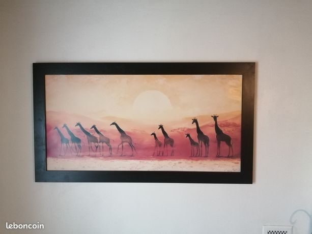 mpresson sur Verre 70x50cm Tableaux mage Photo Grafes anmaux