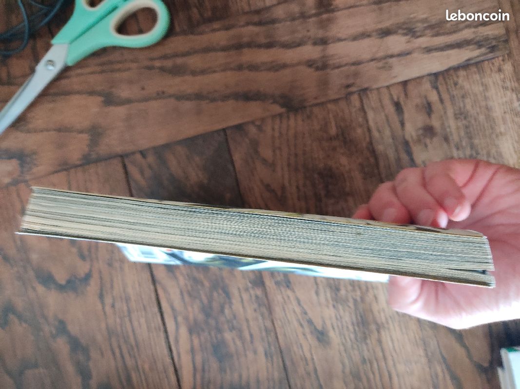 Volume 1 manga saiyuki vf panini comics (image 4)