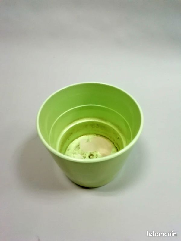 Grand cache-pot vert amende (image 2)