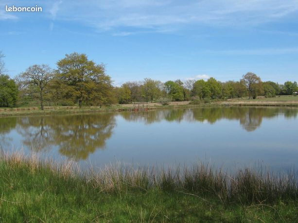 Terrain 6000 m² MILLAC