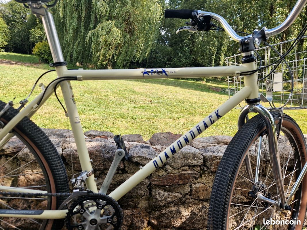 Velo diamond back (image 2)