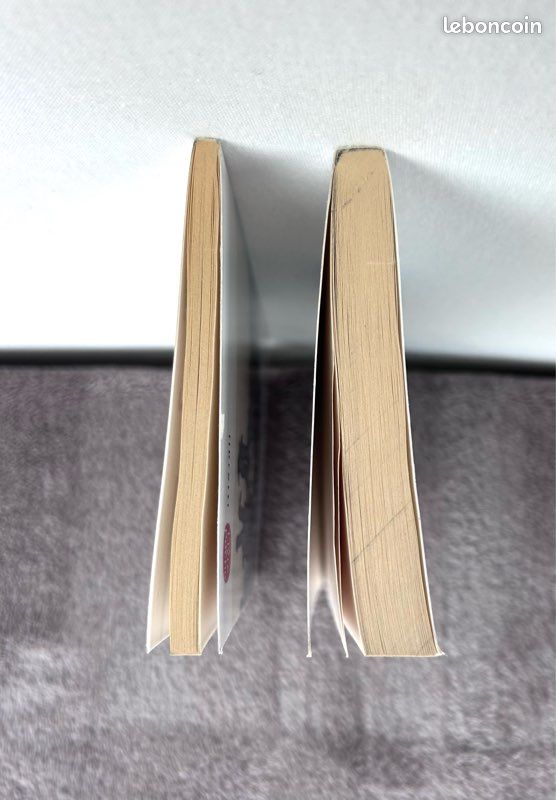Livres poche « Hermani » et « Claude Gueux » de Victor Hugo (image 16)