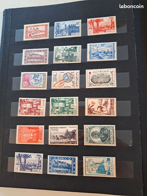Album De Timbres Vierge - Algérie, Prêt à Remplir