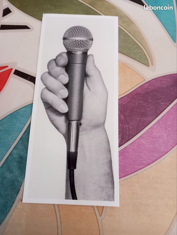 Micro SHURE professionnel (image 1)
