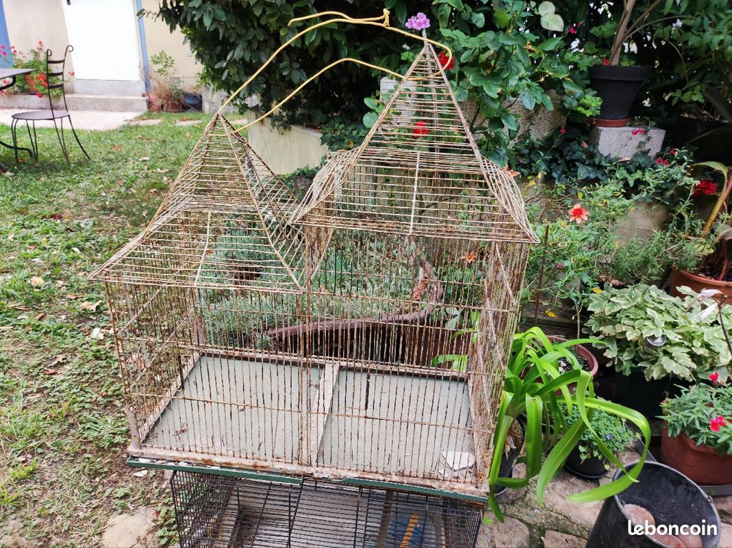 Cage oiseau vintage (image 1)