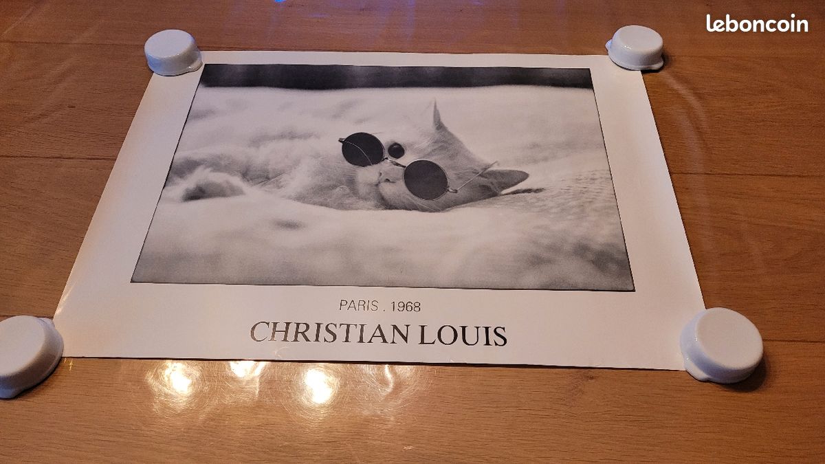 Poster de chat (image 1)