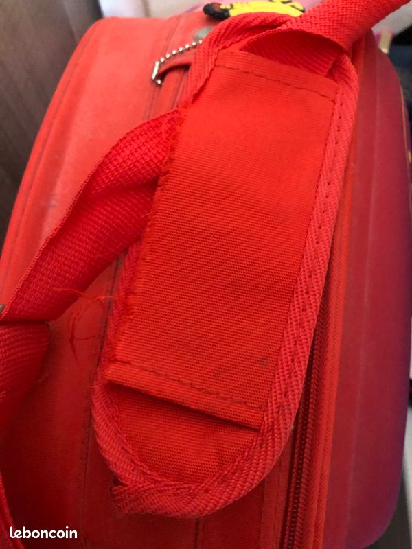 Valise + vanity (image 8)