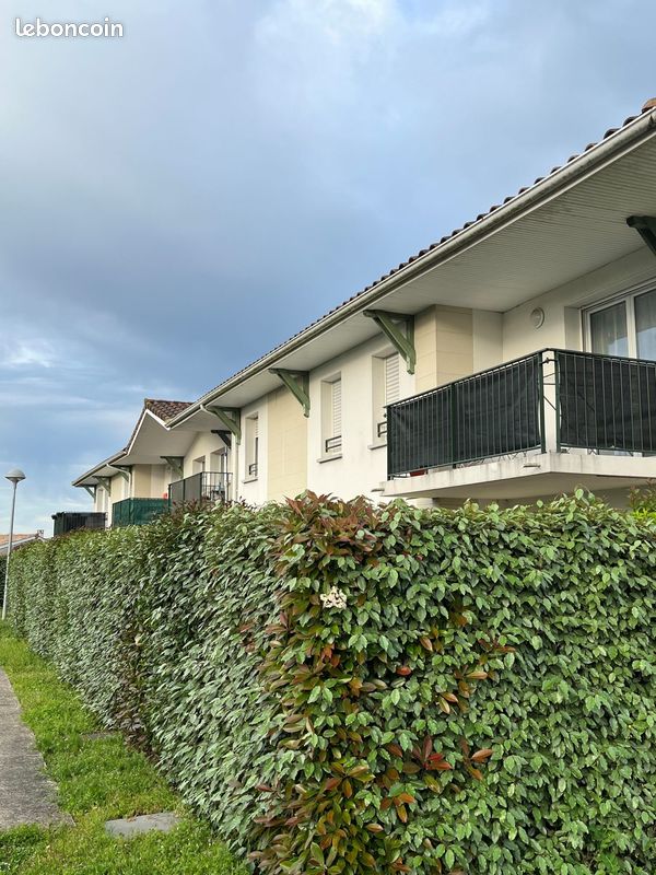 Appartement 3 pièces 56 m² - Ambarès-et-Lagrave 33440 (image principale 6)