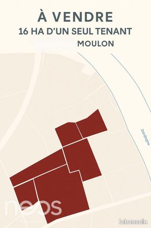 Terrain Moulon