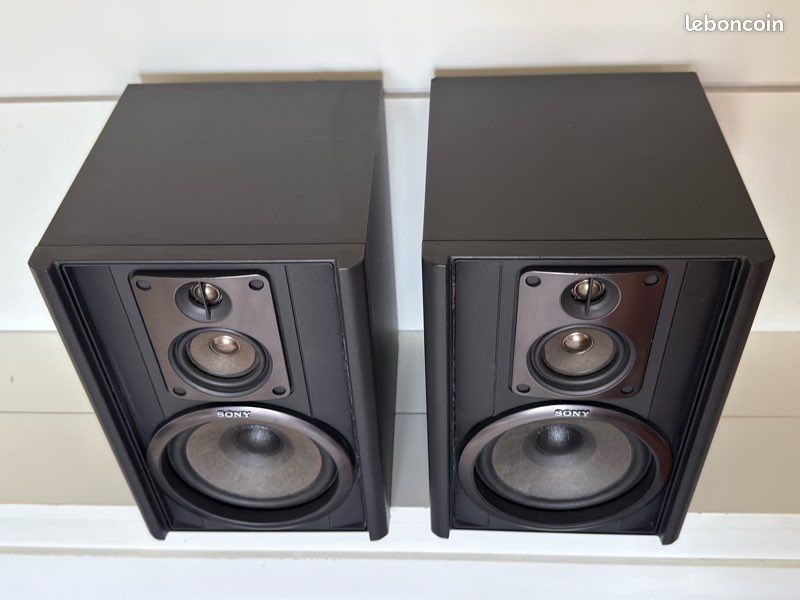 Enceintes Bibliothèque Cosy Stéréo Puissance Musicale Sonore 100 Watts Avec Telecommande Couleur Bois 3499550387872