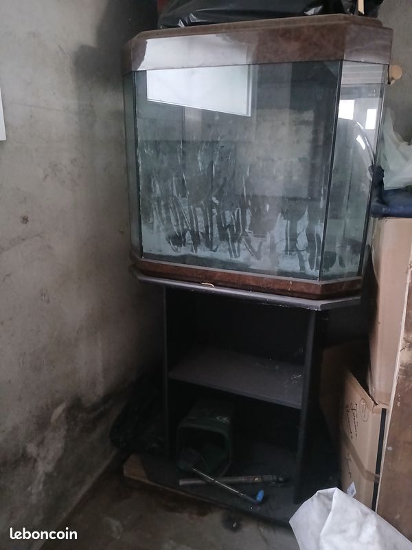Aquarium 300l + meuble (image 1)