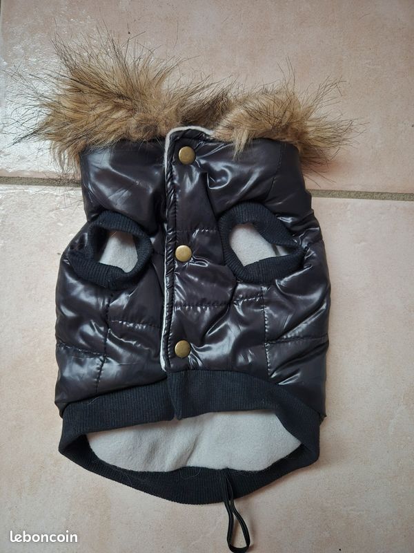 Manteau chien (image 2)