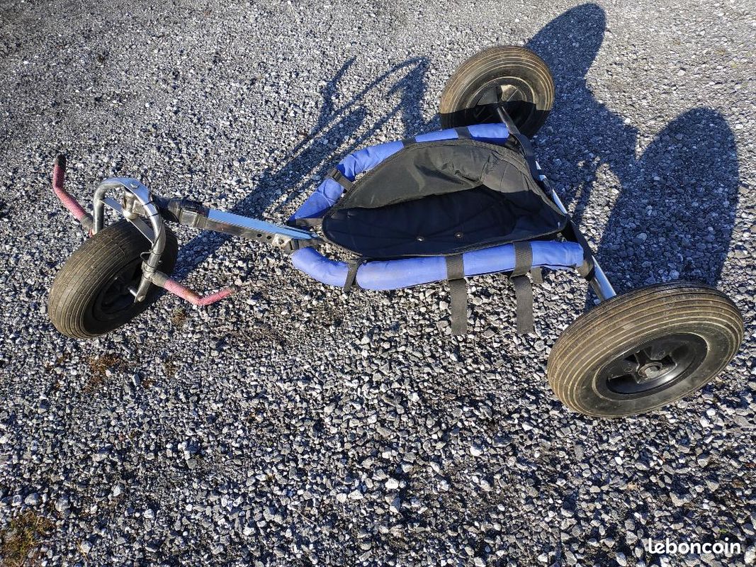Buggy kite (image 1)