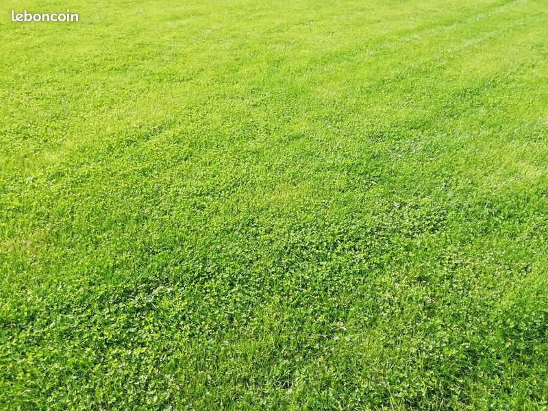 Terrain 656 m² Andel · 56 000 €