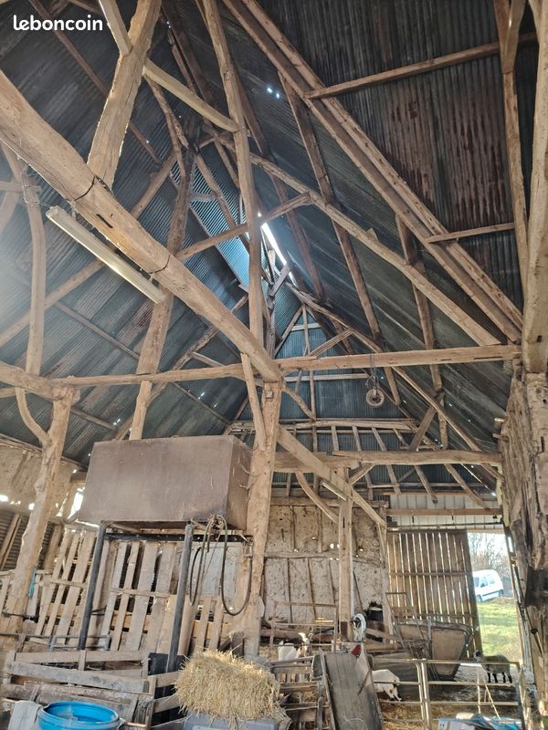 Grange charpente bois (image 1)