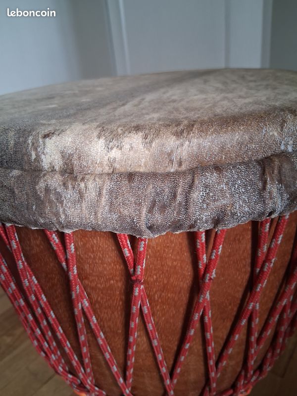 Djembe pro (image 5)
