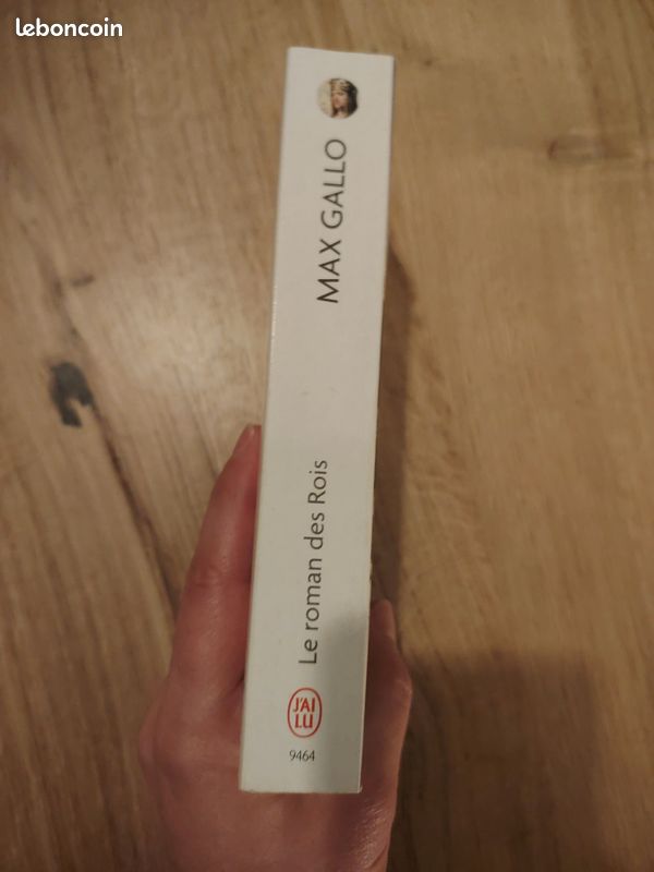 Le roman des rois de Max Gallo (image 3)