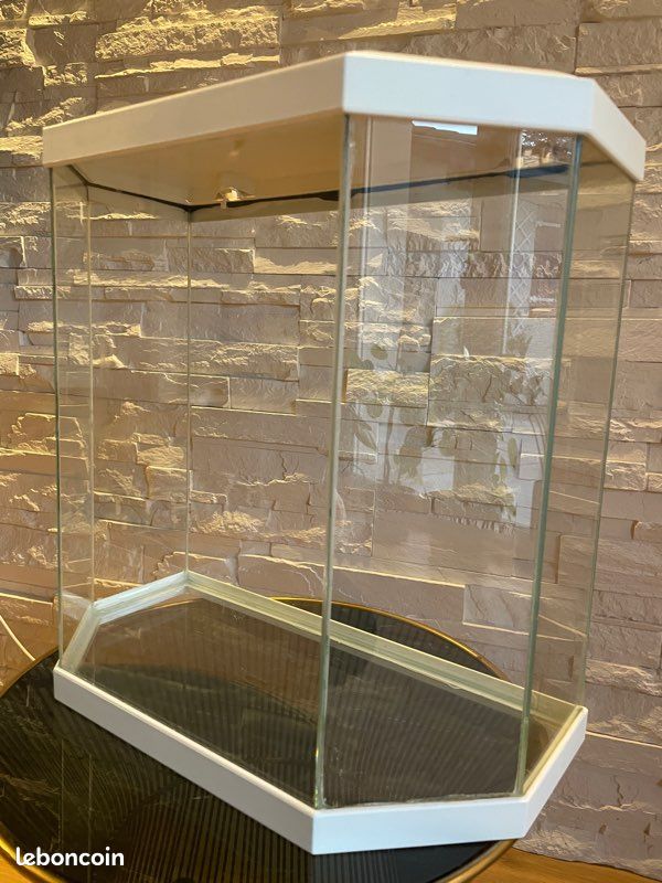 Aquarium Ciano Aqua blanc (image 3)