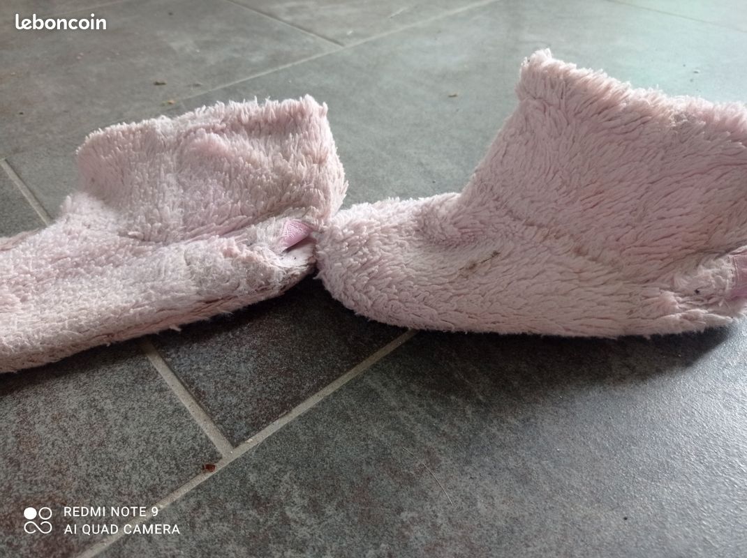 Chausson rose (image 2)