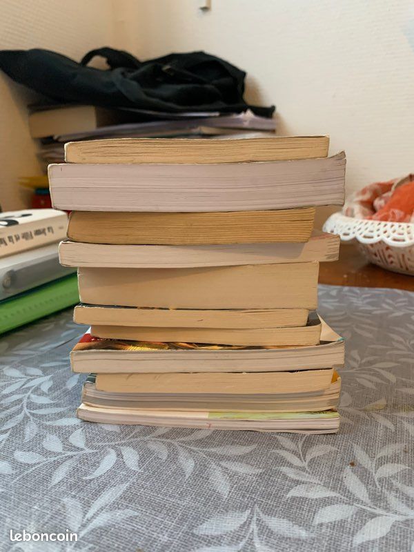 Lot de livres à vendre (image 2)
