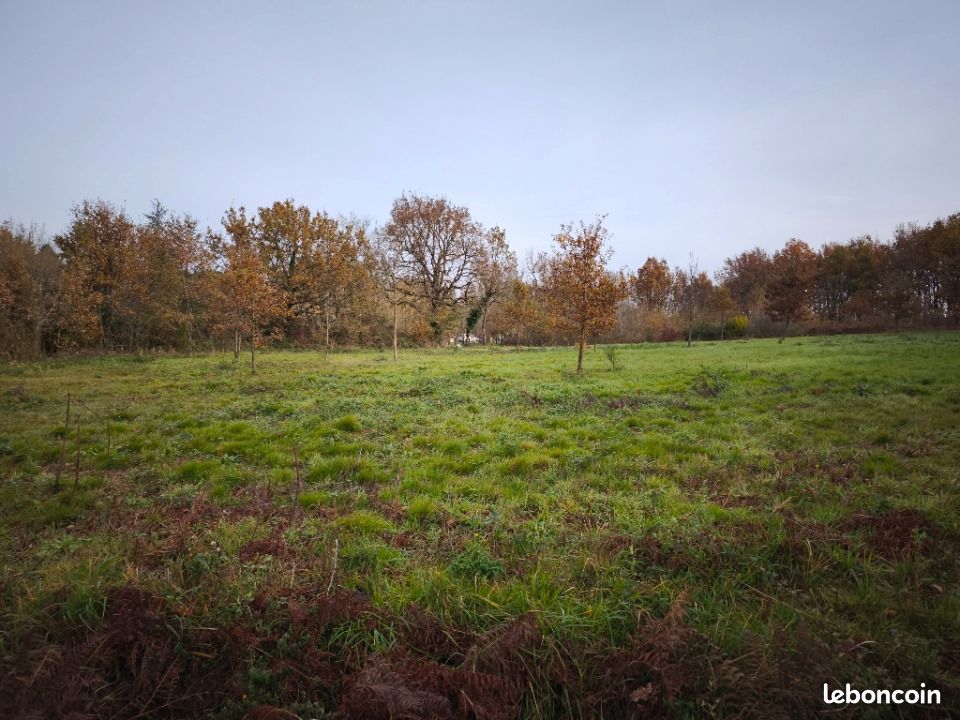 Terrain 1 474 m² Damiatte · 50 000 €