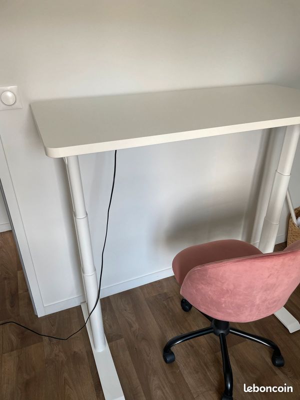 Bureau assis/debout Flexispot (image 9)