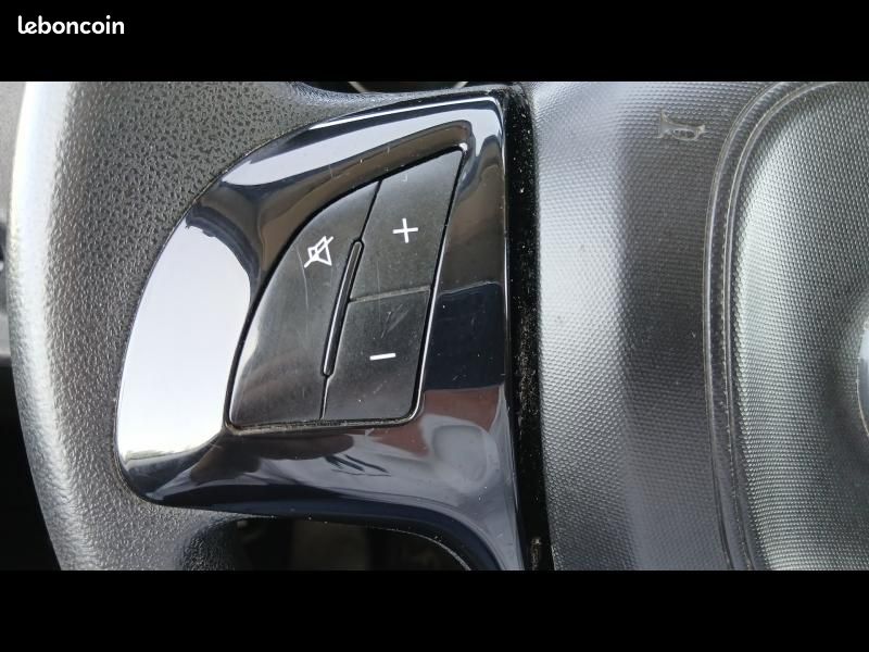 Fiat Doblo Cargo Maxi 1.6 Multijet 105ch 750kg Pro Lounge 12491HT (image 19)