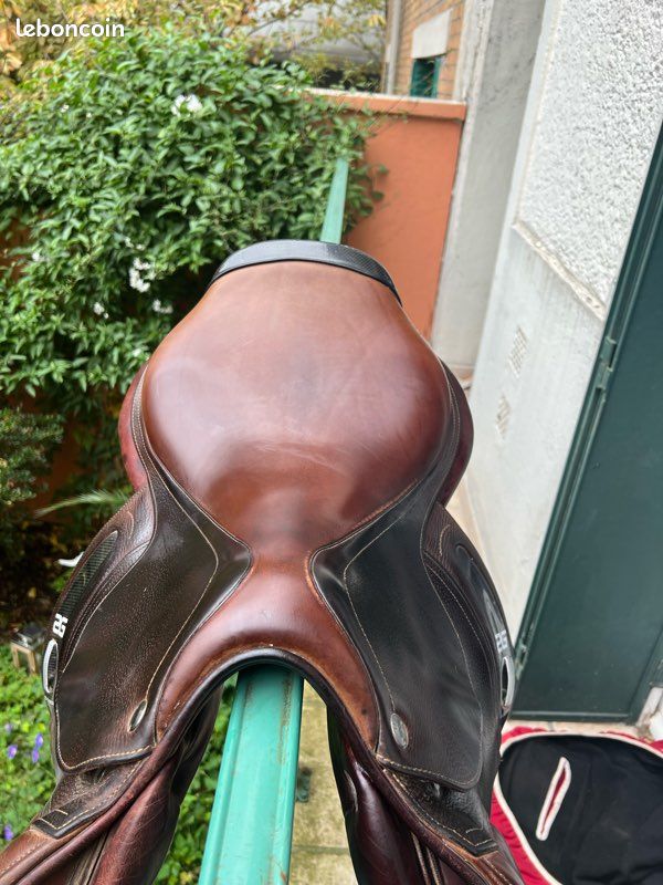 Selle Cwd 2G en très bon état taille 17.5 3C