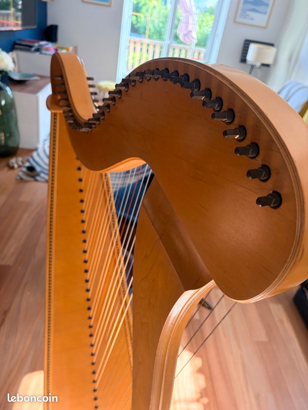Harpe Celtique Mélusine de concert Camac (image 4)
