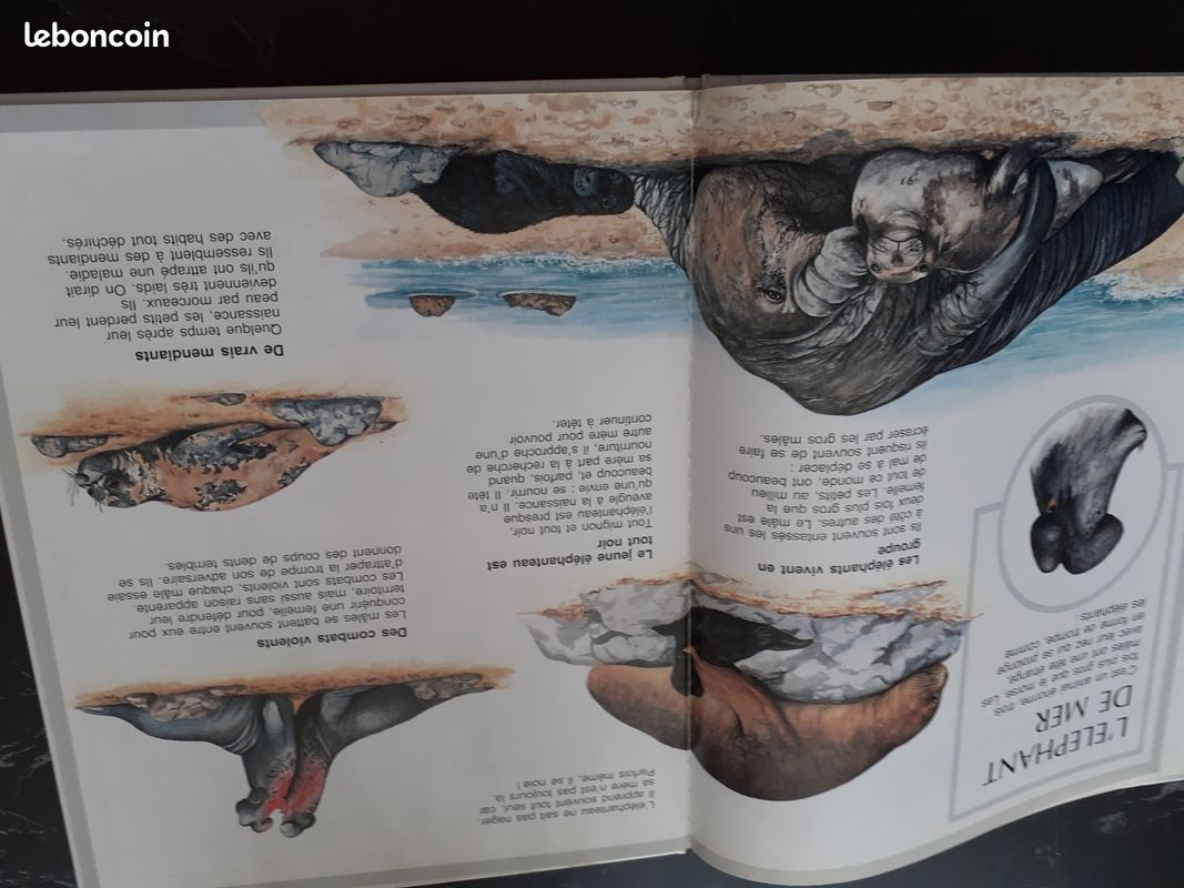 6 Livres les aminaux (image 10)