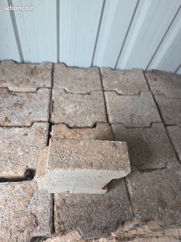 Pavés autobloquants béton (image 2)