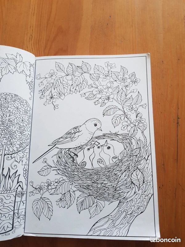 Un carnet de coloriages de couleur blanc (image 4)