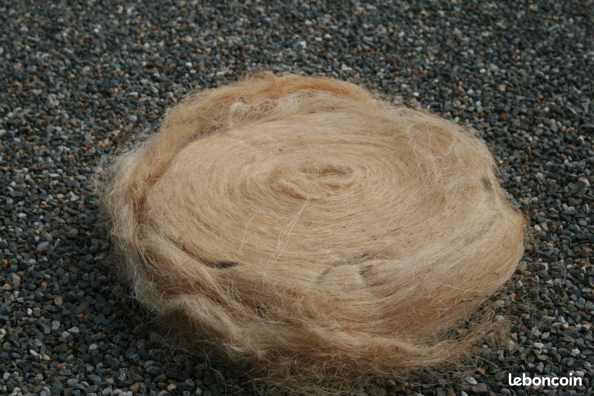 Filasse (image 1)