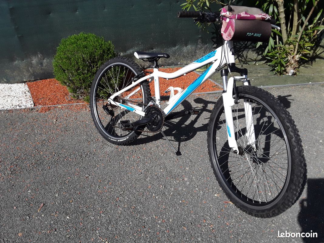 VTT 26 Pouces 21 Vitesses Frein Disque - Vélo Tout Terrain Réglable Garçons Filles Hommes Femmes