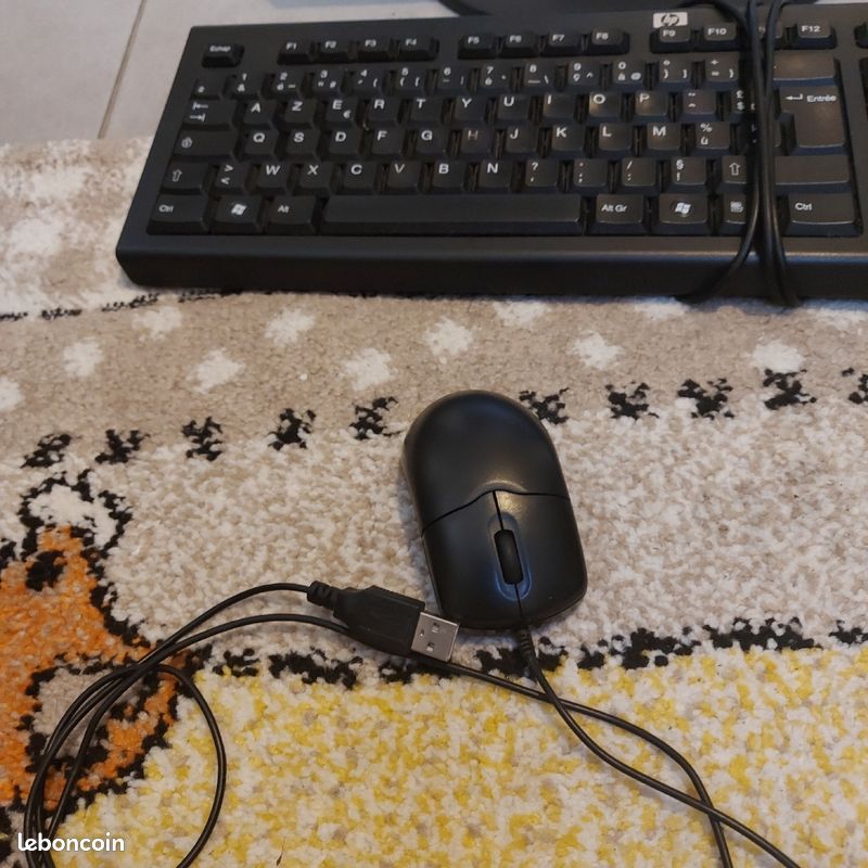 Ecran pc (image 4)