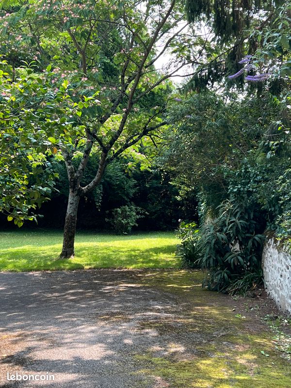 STUDIO Meublé 350 / ELEC-CHAUF-EAU compris - Limoges 87000 Centre-Hôtel de Ville Emailleurs (image principale 2)