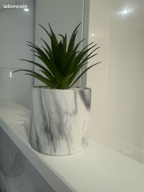 Plante artificielle (image 1)