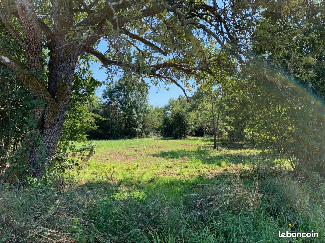 Terrain à bâtir/constructible · à Bélâbre · 25 000 €