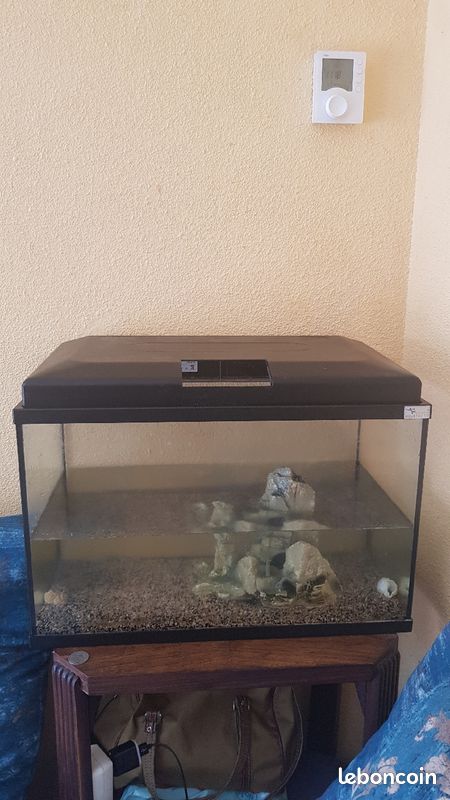 Aquarium (image 3)