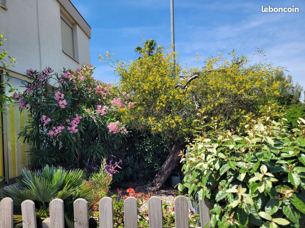 Maison 3 pièces 55 m² · à Saint-Raphaël · 55 m² · 340 000 €