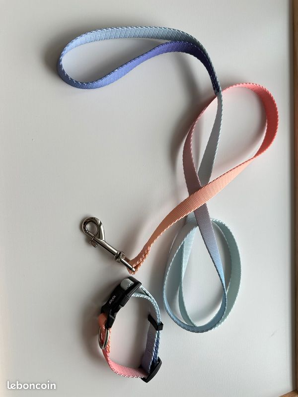 Laisse avec collier pour chien (image 1)
