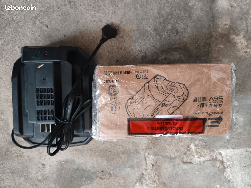 Lot Batterie et chargeur EGO (image 1)