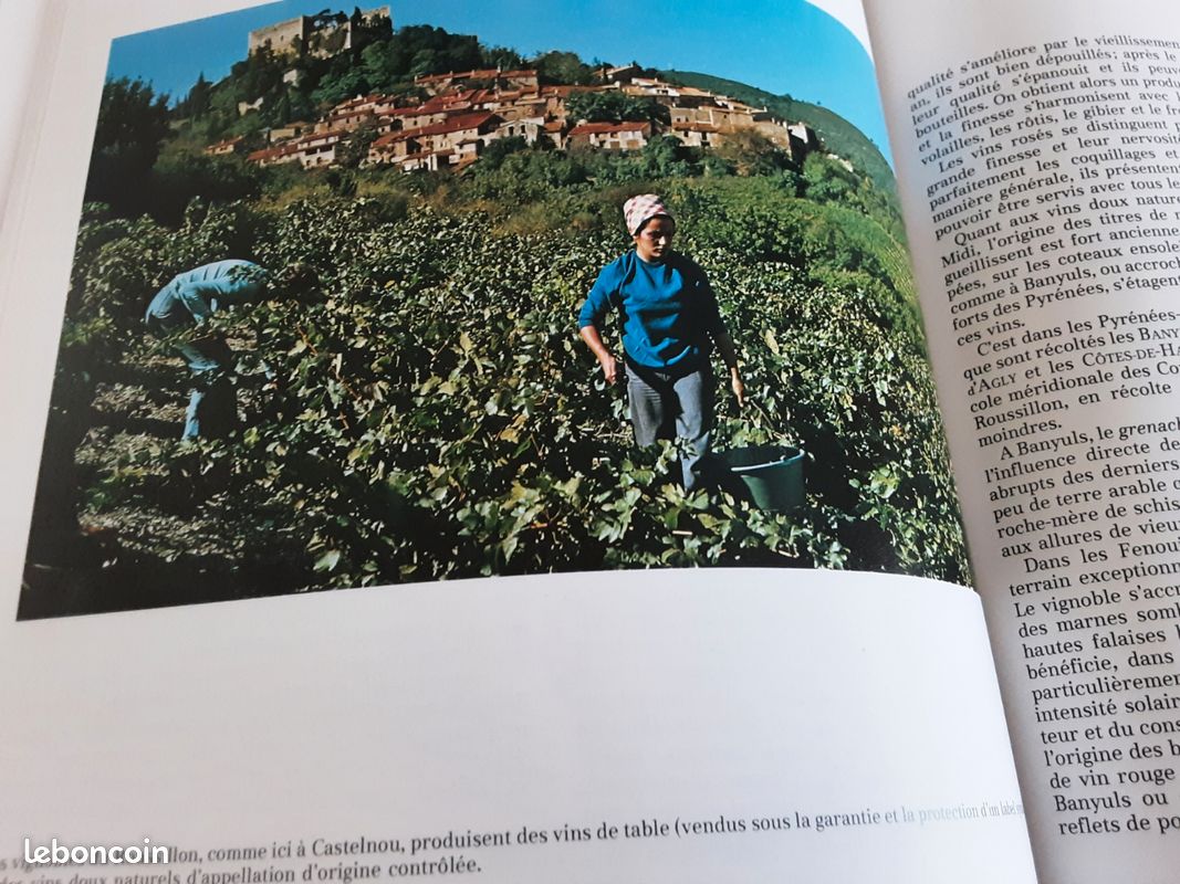 L'Encyclopedie Touristique Des Vins De France - Collectif