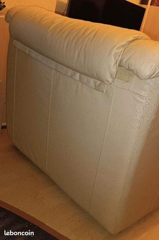 Fauteuil en cuir véritable (image 5)