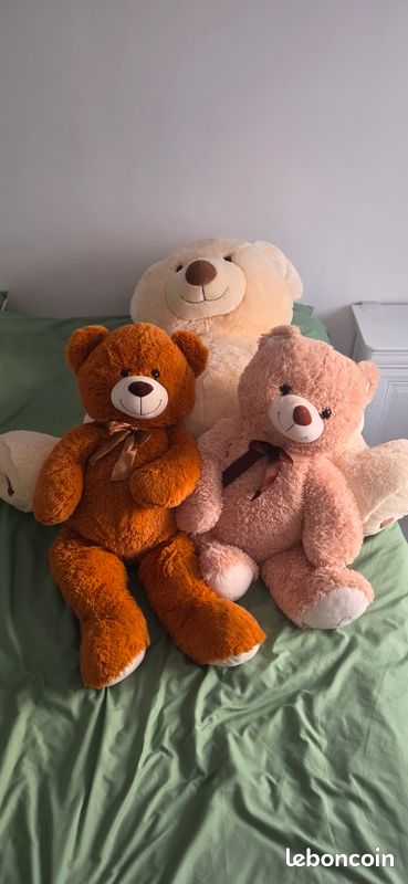 Ours en peluche (image 3)
