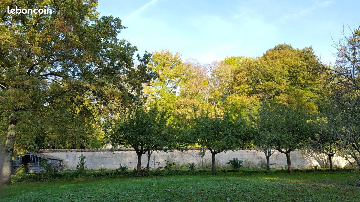 Gite au jardin de grand-père : Gîte de charme confortable en Sologne entre Chambord et Beauval (image 13)